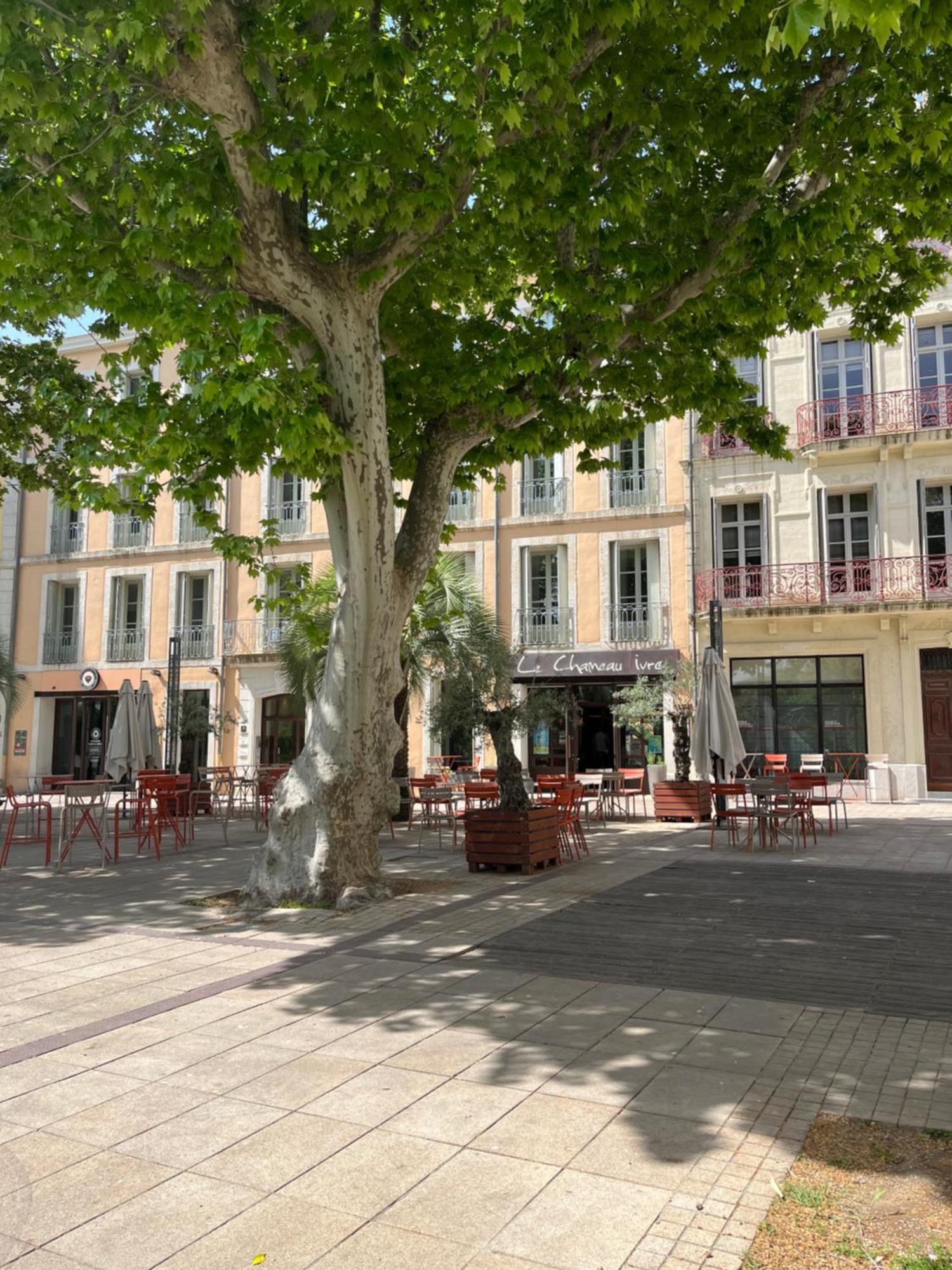 Joli Appartement Hypercentre T2, Classe Meuble De Tourisme 3 Avec Parking Gratuit Beziers Exterior photo